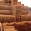 Coir Fiber